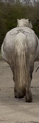 IMG_4768.jpeg IMG_4768.jpeg