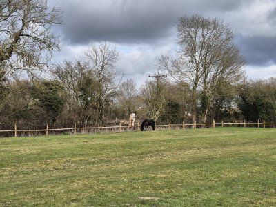 483936348_10228986603073786_1918027183445017061_n.jpg 483936348_10228986603073786_1918027183445017061_n.jpg