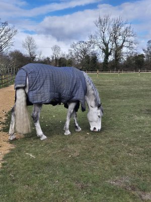 484867819_10229003949307431_4712401932878627326_n.jpg 484867819_10229003949307431_4712401932878627326_n.jpg