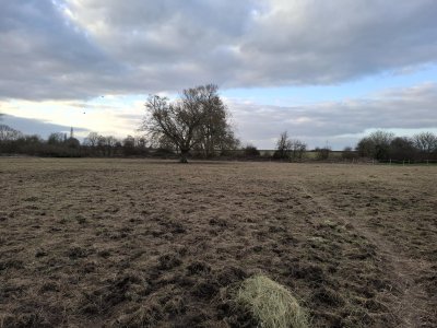 1000002685.jpg 1000002685.jpg