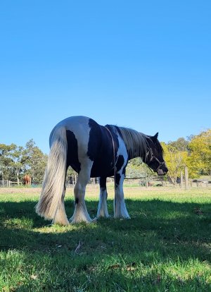 1000023168.jpg 1000023168.jpg