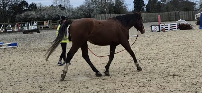 Screenshot_20250319_171727_Gallery_remastered.jpg Screenshot_20250319_171727_Gallery_remastered.jpg