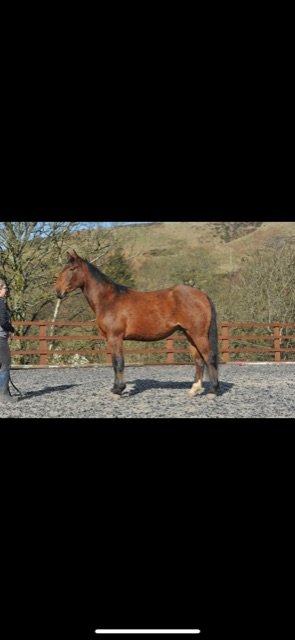 C5C94F3A-C6C4-4880-A5F4-3DC86E61D3AE.jpeg C5C94F3A-C6C4-4880-A5F4-3DC86E61D3AE.jpeg