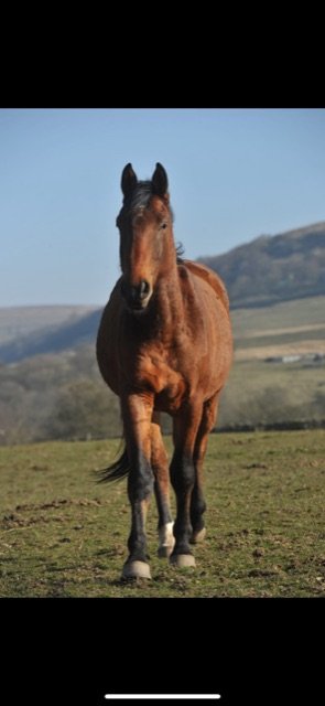 5B07DBA2-29F0-47F5-8161-83D9F1453F2A.jpeg 5B07DBA2-29F0-47F5-8161-83D9F1453F2A.jpeg