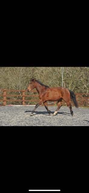 0F1EE29F-A8FF-4DEC-89E0-FFA950F26736.jpeg 0F1EE29F-A8FF-4DEC-89E0-FFA950F26736.jpeg