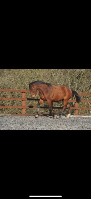 D679BD9B-965D-4A9B-9AF6-1409E91D049C.jpeg D679BD9B-965D-4A9B-9AF6-1409E91D049C.jpeg