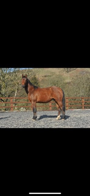 BD0274A4-CD95-4D8B-A891-F75C6A966C5D.jpeg BD0274A4-CD95-4D8B-A891-F75C6A966C5D.jpeg