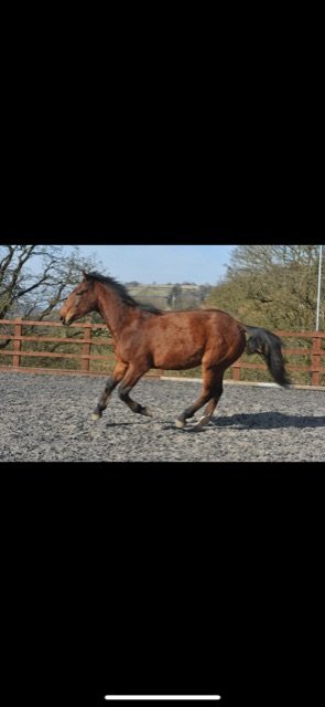 D62300FF-A138-4D15-90F5-49D40C253402.jpeg D62300FF-A138-4D15-90F5-49D40C253402.jpeg