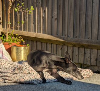 1742506188088.png 1742506188088.png