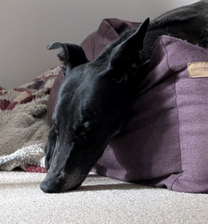 1742506238078.png 1742506238078.png