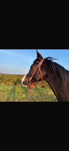 7ECB2269-A602-4C28-A067-6E6CDB03C336.jpeg 7ECB2269-A602-4C28-A067-6E6CDB03C336.jpeg