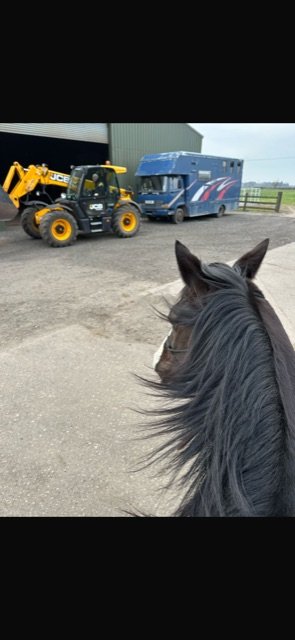 B3E71C10-9B3F-422F-8D18-F42408F84BF4.jpeg B3E71C10-9B3F-422F-8D18-F42408F84BF4.jpeg