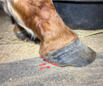 Screenshot_20250320-092657~3.png Screenshot_20250320-092657~3.png