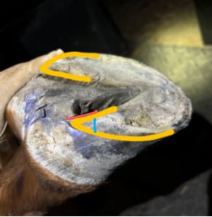 Screenshot_20250320-092504~4.png Screenshot_20250320-092504~4.png