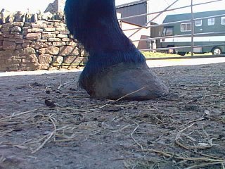 0026.0.jpg 0026.0.jpg