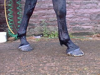 17SEP008.0.jpg 17SEP008.0.jpg