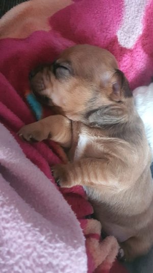 4a565e14-f624-4d3b-b845-956457deb429.jpeg 4a565e14-f624-4d3b-b845-956457deb429.jpeg