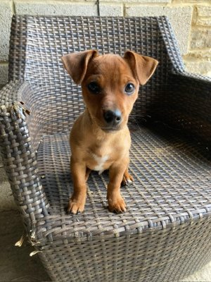 38921e7f-cf4a-4b18-9feb-d6aa25e44c26.jpeg 38921e7f-cf4a-4b18-9feb-d6aa25e44c26.jpeg