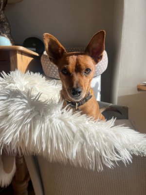 IMG_2427.jpeg IMG_2427.jpeg