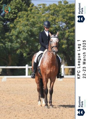 Odin - KPC - Medium 1 - 2025 03 23 - 2 small.jpg