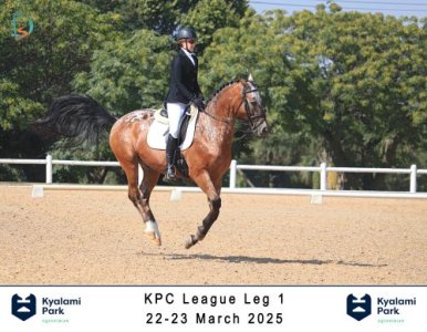 Odin - KPC - Medium 1 - 2025 03 23 - 4 small.jpg