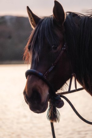 480733883_10101387636093045_8037457388696210391_n.jpg 480733883_10101387636093045_8037457388696210391_n.jpg