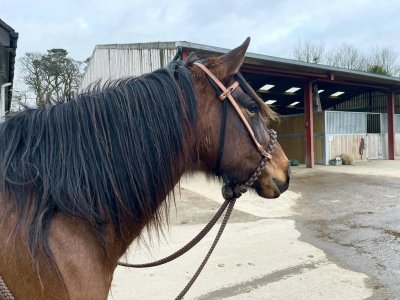 331524109_615915337213376_7105998668076767881_n.jpg 331524109_615915337213376_7105998668076767881_n.jpg