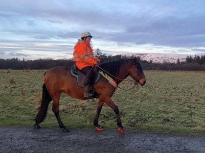 472171711_10101365273323215_6972281363974422714_n.jpg 472171711_10101365273323215_6972281363974422714_n.jpg