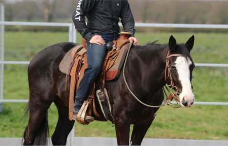 EACF486E-B267-4CC4-BB44-BBBDE4861F79.jpeg EACF486E-B267-4CC4-BB44-BBBDE4861F79.jpeg