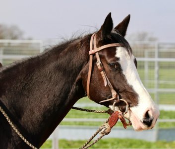 0B3DA920-5AFC-40D9-9A3E-F55131315009.jpeg 0B3DA920-5AFC-40D9-9A3E-F55131315009.jpeg