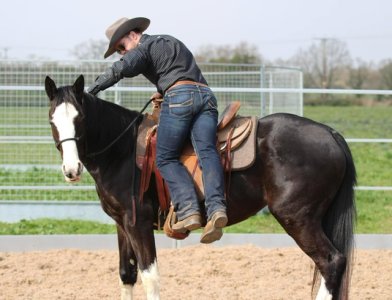 76EEC8D3-ACCC-464F-8D31-F96C75E0B7E9.jpeg 76EEC8D3-ACCC-464F-8D31-F96C75E0B7E9.jpeg