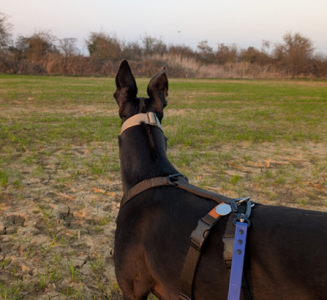 1742907976358.png 1742907976358.png