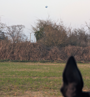 1742908018609.png 1742908018609.png