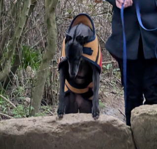 1742908094025.png 1742908094025.png