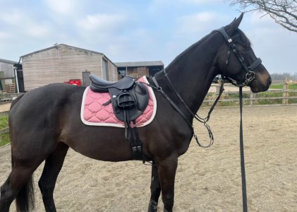 IMG_8292.jpeg IMG_8292.jpeg