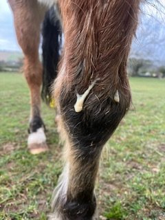 IMG_7921.jpeg IMG_7921.jpeg