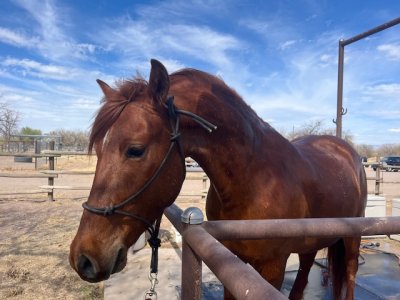 IMG_7884.jpeg IMG_7884.jpeg