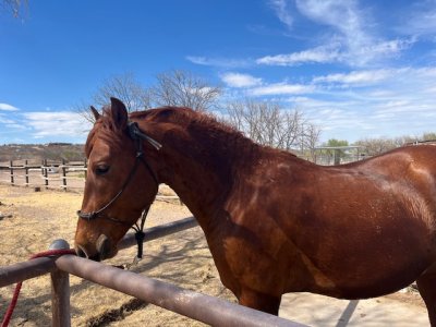 IMG_7897.jpeg IMG_7897.jpeg