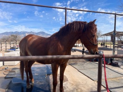 IMG_7895.jpeg IMG_7895.jpeg