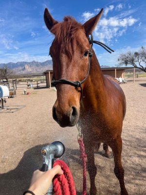 IMG_7873.jpeg IMG_7873.jpeg