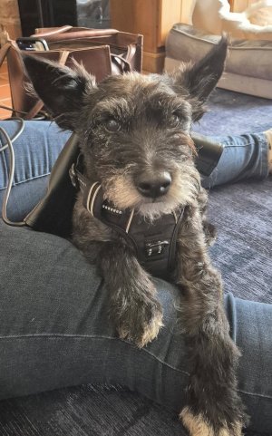 486309388_10229121683090702_6694051959434426612_n (1)a.jpg