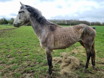 1000070370 (1) (1).jpeg 1000070370 (1) (1).jpeg