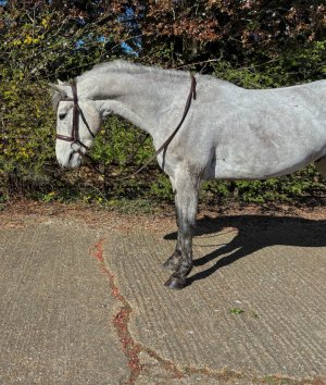 IMG_2577.jpg IMG_2577.jpg