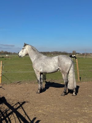 IMG_2635 (1).jpg IMG_2635 (1).jpg