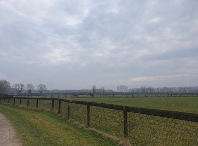 Screenshot_20250314_115415_Gallery.jpg Screenshot_20250314_115415_Gallery.jpg