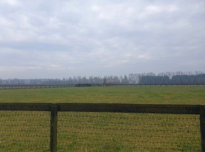 Screenshot_20250314_115408_Gallery.jpg Screenshot_20250314_115408_Gallery.jpg