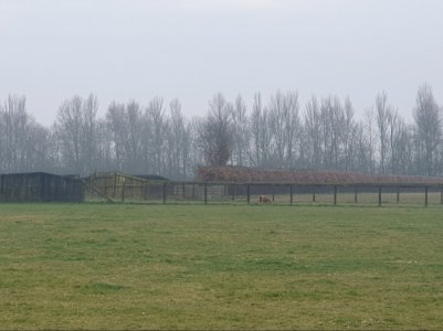 Screenshot_20250314_115354_Gallery.jpg Screenshot_20250314_115354_Gallery.jpg