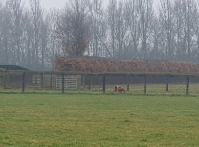 Screenshot_20250314_115350_Gallery.jpg Screenshot_20250314_115350_Gallery.jpg