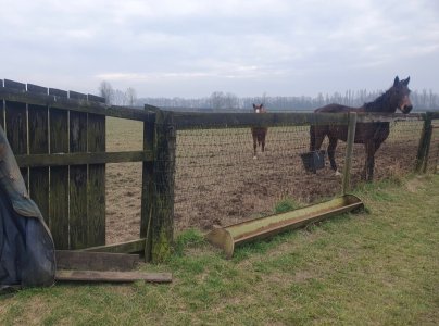 Screenshot_20250314_115341_Gallery.jpg Screenshot_20250314_115341_Gallery.jpg