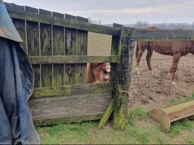 Screenshot_20250314_115332_Gallery.jpg Screenshot_20250314_115332_Gallery.jpg